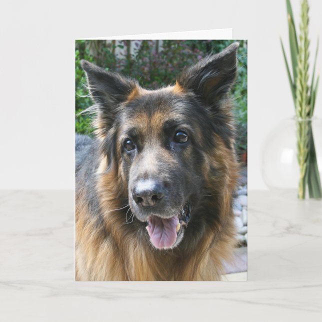German Shepherd Card (Front)