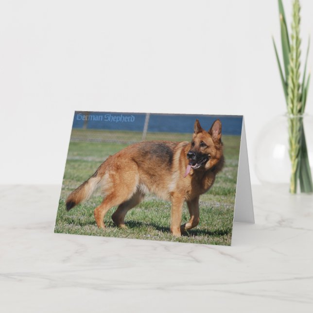 German Shepherd Card (Front)