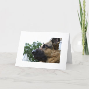 German Shepherd Card