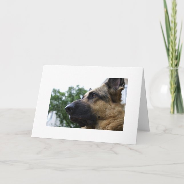 German Shepherd Card (Front)