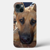 German Shepherd Cat Naps, iPhone 13 Case