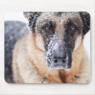 German Shepherd Closeup Covered In Snow Mouse Pad