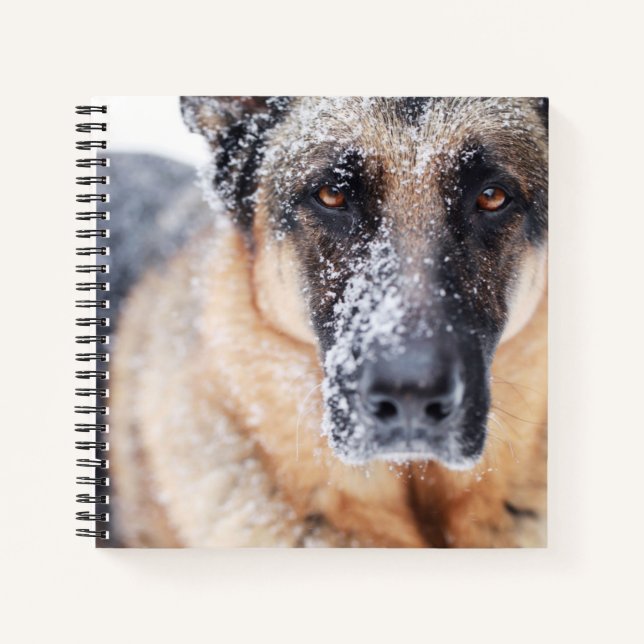 German Shepherd Closeup Covered In Snow Notebook (Front)