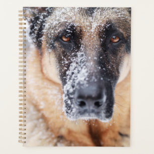 German Shepherd Closeup Covered In Snow Planner
