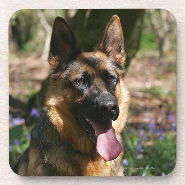 German Shepherd Coaster (Front)