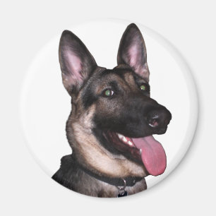 German Shepherd Collection Magnet