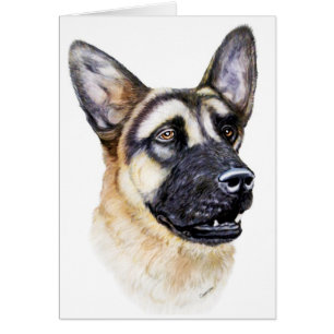 German Shepherd Dog