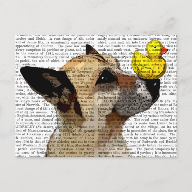 German Shepherd Dog and Duck Postcard (Front)