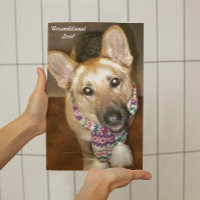 German Shepherd Dog Black & Tan Unconditional Love