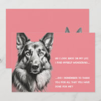German Shepherd Dog Black White