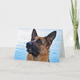 German Shepherd - Dog card