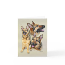 German Shepherd Dog
