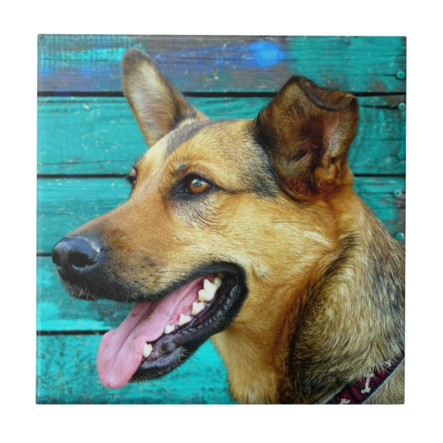 German Shepherd Dog Face Tile (Front)