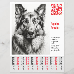 German Shepherd Dog Flyer 