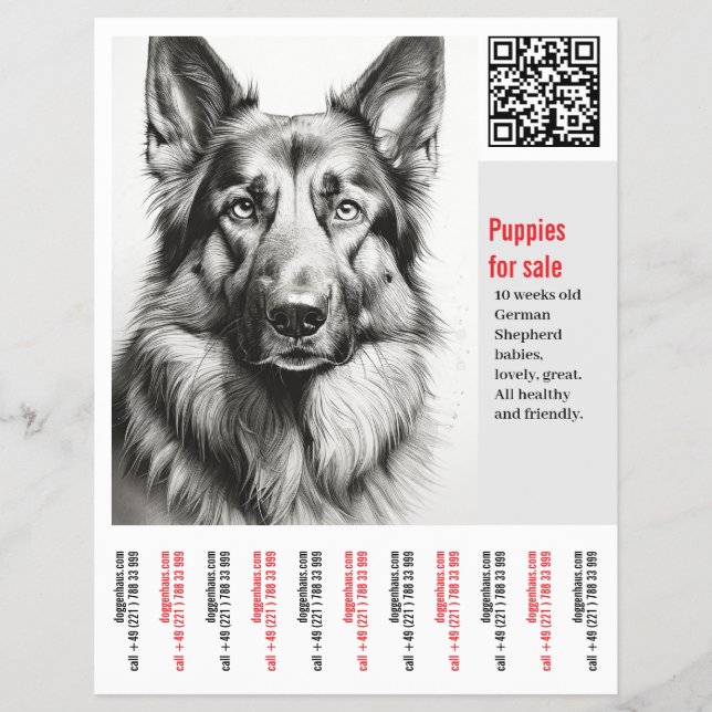 German Shepherd Dog Flyer (Front)