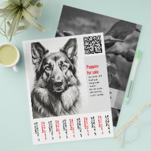 German Shepherd Dog Flyer