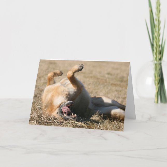 German Shepherd Dog greeting card (Front)