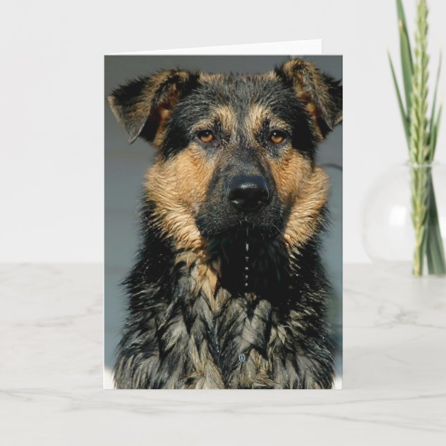 German Shepherd Dog Greeting Card (Front)