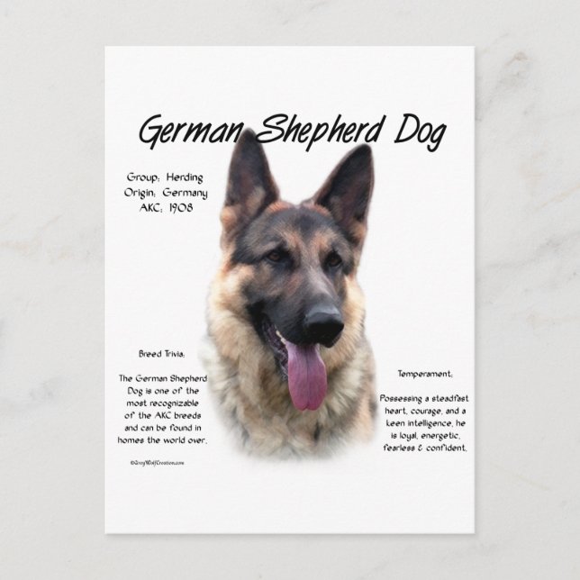 German Shepherd Dog History Design Postcard (Front)