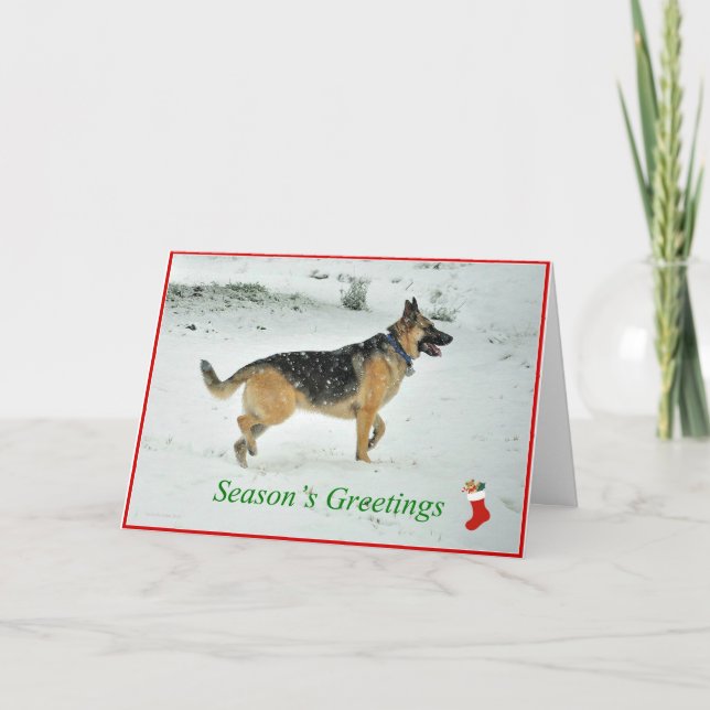 German Shepherd Dog Holiday Card (Front)