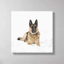 German Shepherd Dog In Snow Canvas print