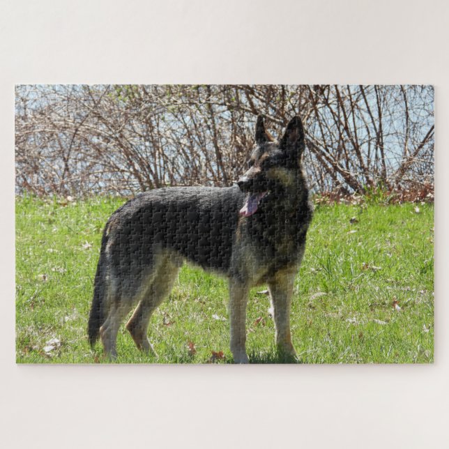 German Shepherd Dog Jigsaw Puzzle (Horizontal)