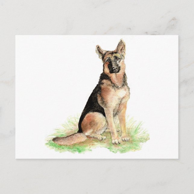 German Shepherd, Dog, Pet , Animal Postcard (Front)