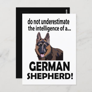 German Shepherd Dog Pet German Shepherd Postcard