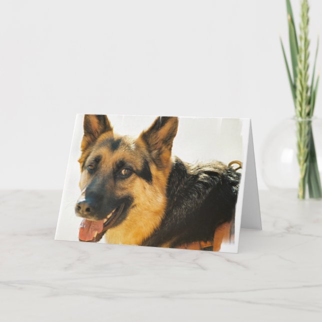 German Shepherd Dog Photo Greeting Card (Front)