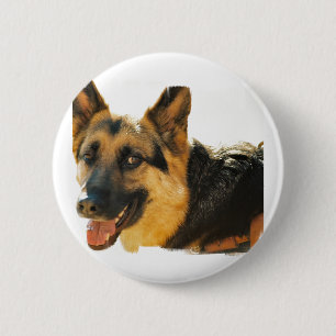 German Shepherd Dog Photo Pin