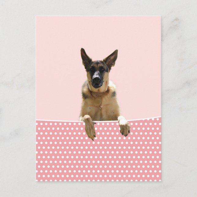 German Shepherd Dog Pink Polka Dots Postcard (Front)
