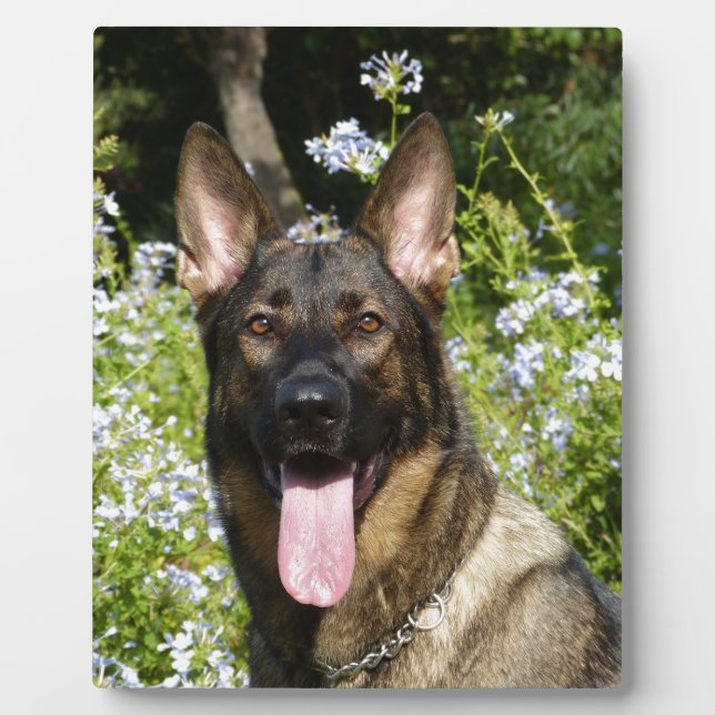 German Shepherd Dog Plaque (Front)