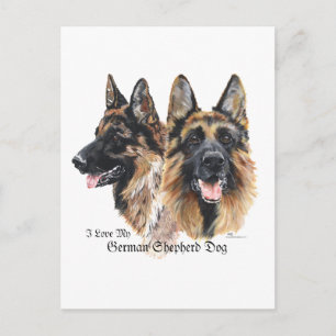 German Shepherd Dog Postcard