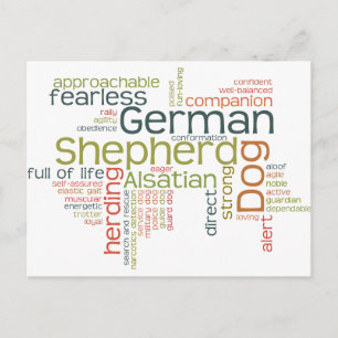 German Shepherd Dog Postcard