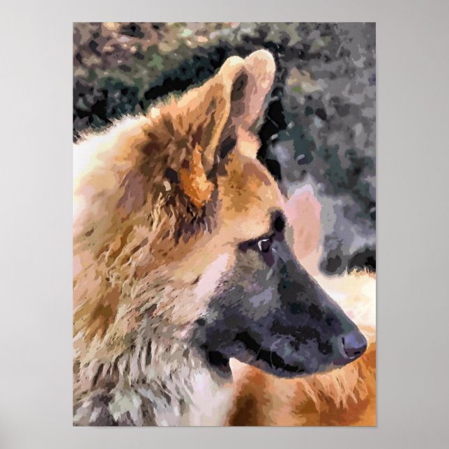 GERMAN SHEPHERD DOG POSTER (Front)