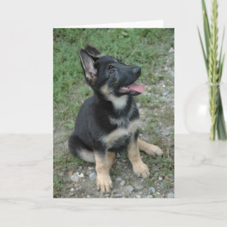 German Shepherd Dog Puppy Card