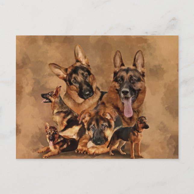 German Shepherd Dog - puppy, young, adult Holiday Postcard (Front)