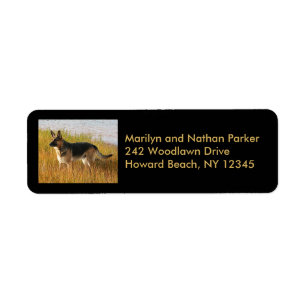 German Shepherd Dog Return Address Label