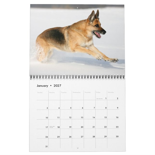 German Shepherd Dog wall calendar (Jan 2027)
