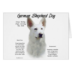 German Shepherd Dog (wht) History Design