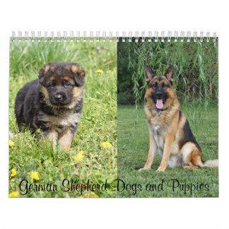 German Shepherd Dogs and Puppies Calendar 