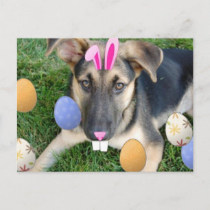 German Shepherd Easter Puppy Holiday Postcard