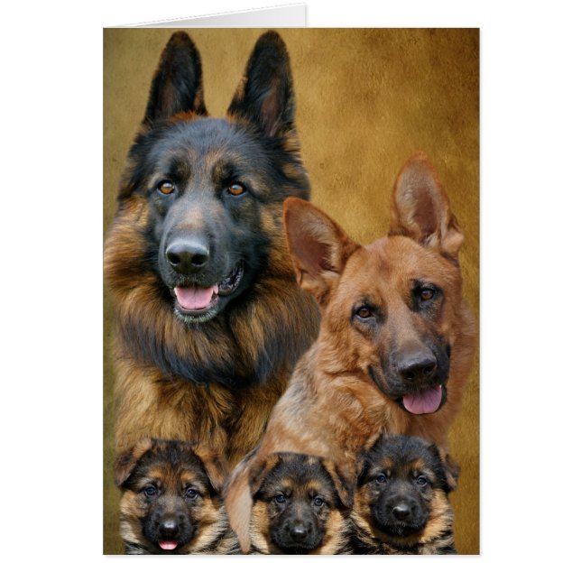 German Shepherd Family Card (Front)