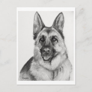 German Shepherd Fine Art Postcard