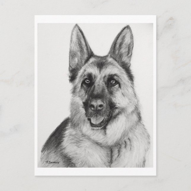 German Shepherd Fine Art Postcard (Front)