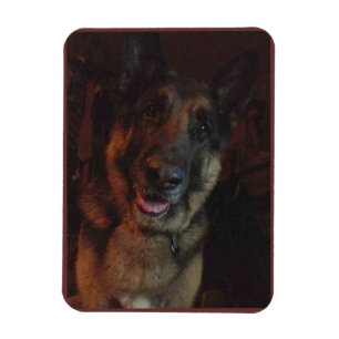German Shepherd Fridge magnet