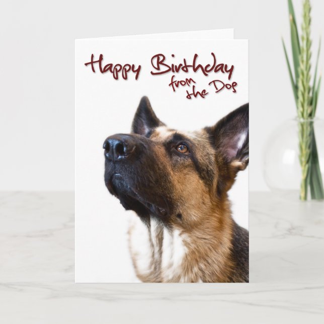 German Shepherd fromthedog1 Card (Front)