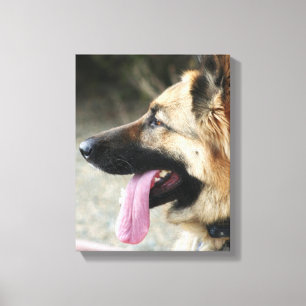 German Shepherd gallery wrap canvas print