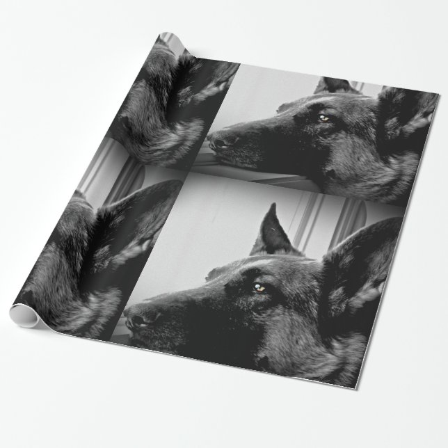 German Shepherd Gift Wrapping Paper (Unrolled)