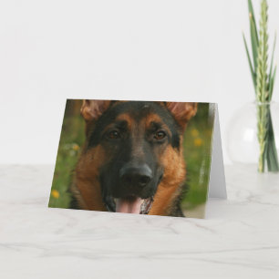 German Shepherd Greeting Card